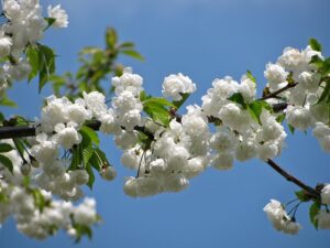 time to plan for spring cleaning - Dean's Window Cleaning