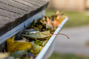 Clean gutters protect your home