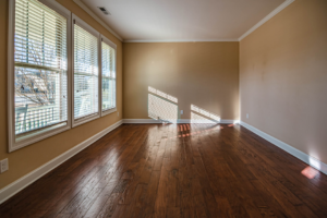 Sunlight streaming through clean residential windows on a bright day