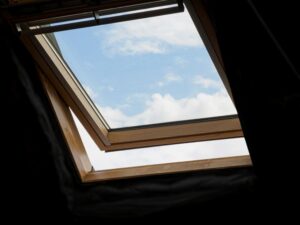 Open window with a clean screen looking out onto a green backyard